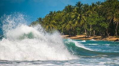 A large wave breaking on a tropical beach with dense palm trees in the background under a clear blue sky.