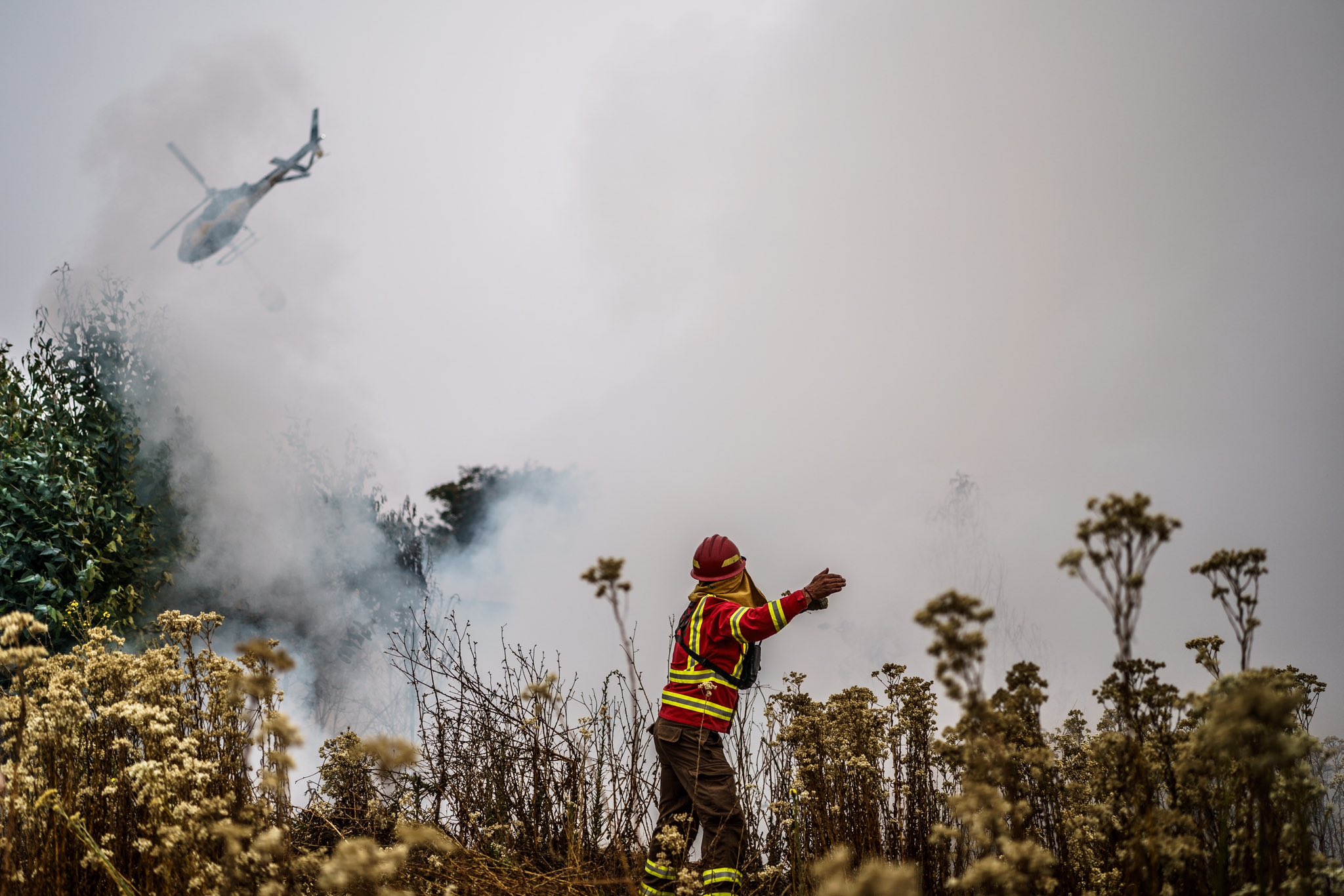 Los incendios forestales en Chile y las olas de calor en América del Sur cobran vidas