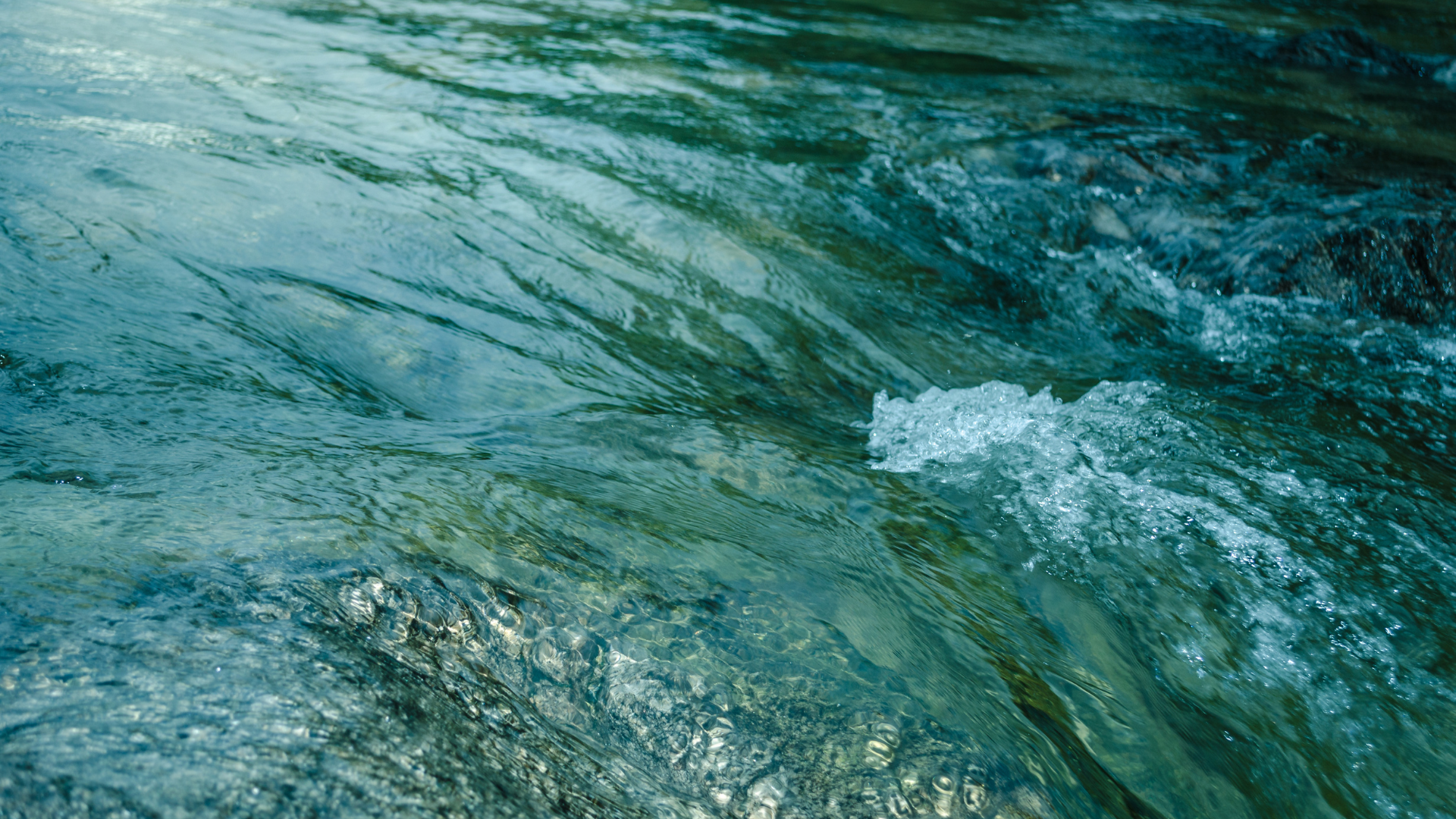 Projects in Nigeria and Uganda win the 2025 competition for youth-led initiatives