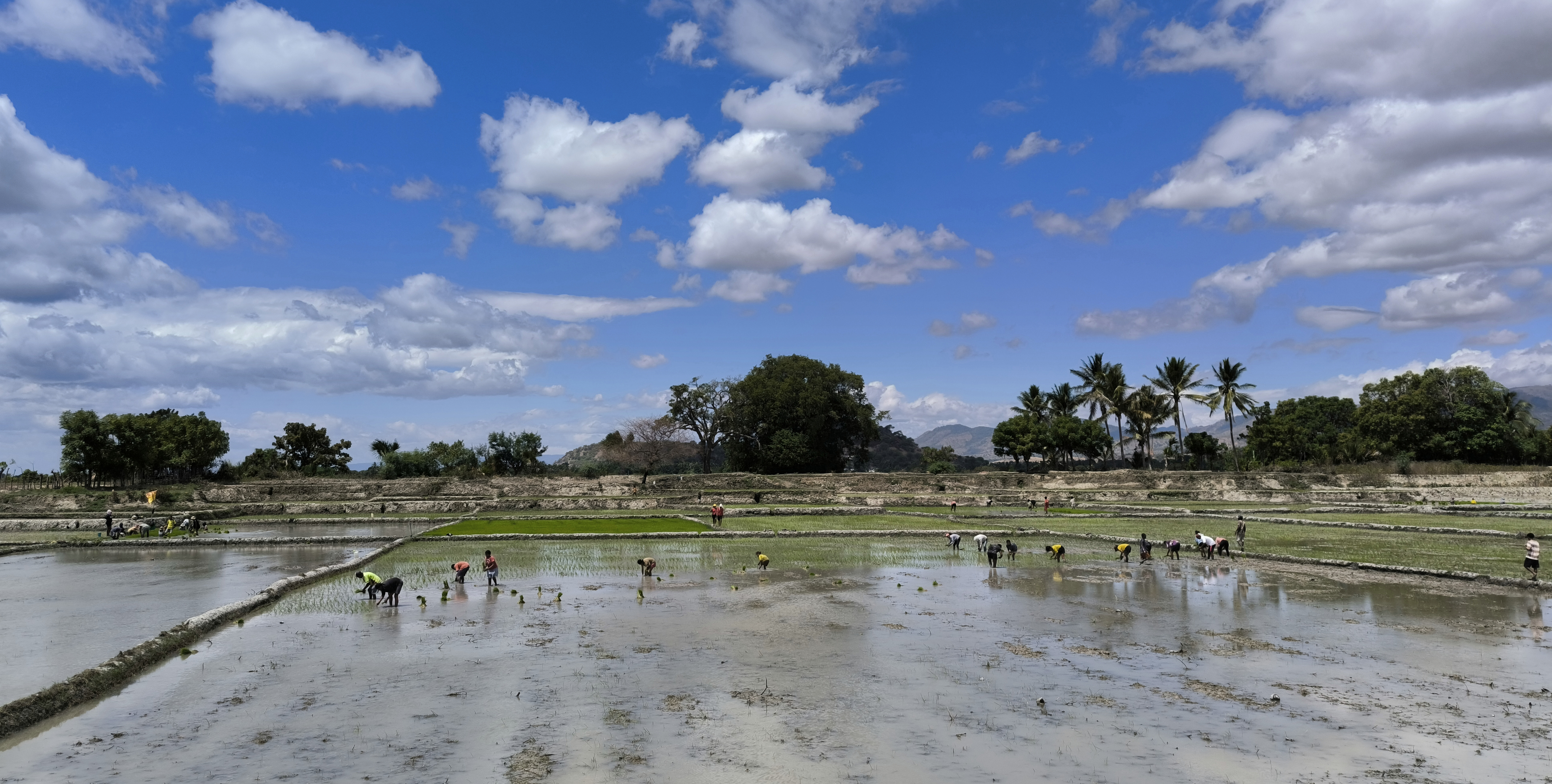 El Niño looms large on World Food Day