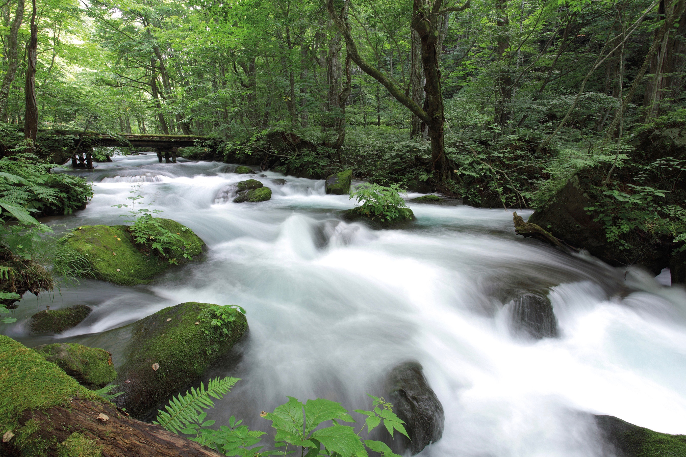 Photographer: Tsz-cheung Lee