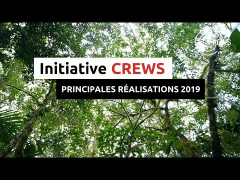 Initiative CREWS: Principales Réalisations 20