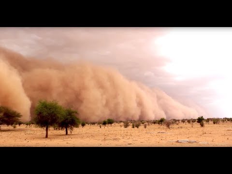 Prémunir les populations contre les tempêtes de sable et de poussière