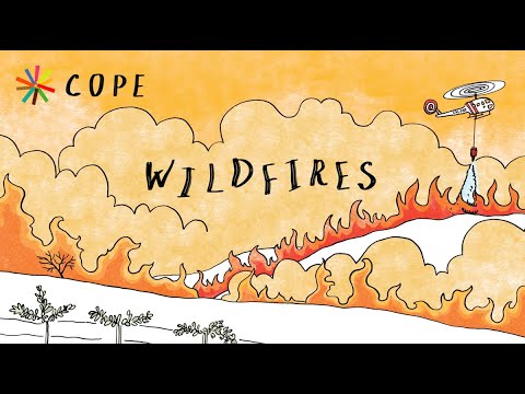 Wildfires - Cope Disaster Champions