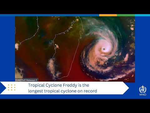 Tropical Cyclone Freddy