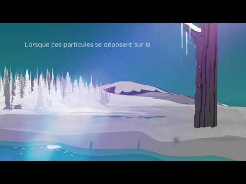 Biomass burning animations 2019 (French)