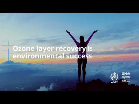 Ozone Depleting Substances quadrennial assessment report - January 2023 - English