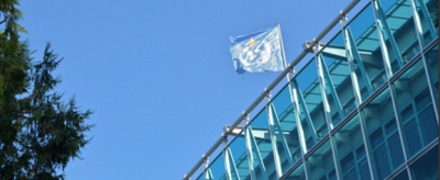 A blue United Nations flag flies atop a modern glass building against a clear blue sky, with tree branches visible at the edges.