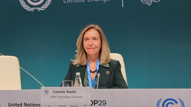 A woman sits at a conference table with a nameplate reading "Celeste Saulo, WMO Secretary-General." The backdrop features United Nations Climate Change and COP29 logos.