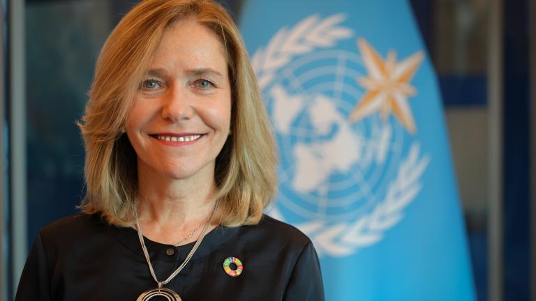 A woman with blonde hair wearing a black top and necklace stands in front of a blue UN flag with the UN emblem.