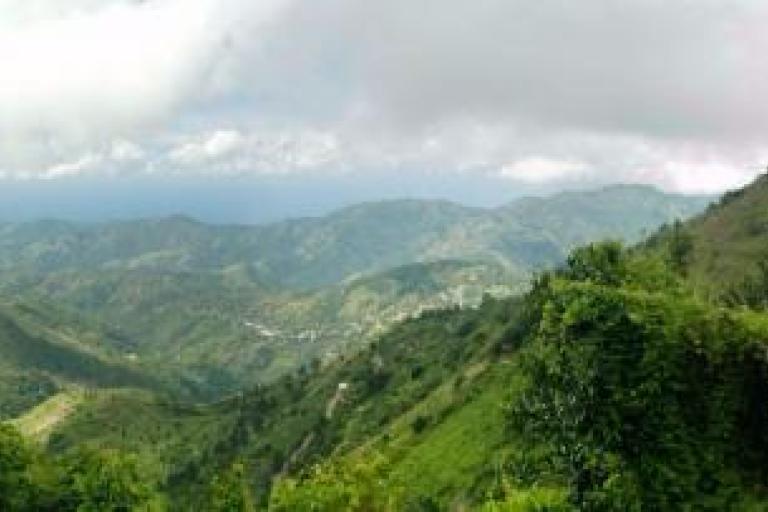 Jamaican landscape
