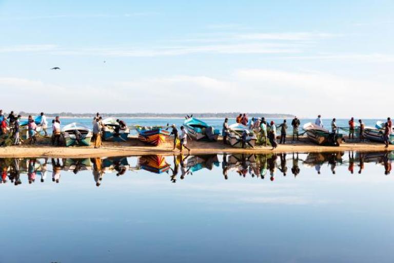 Fishing boats on the banks of water in Sri Lanka