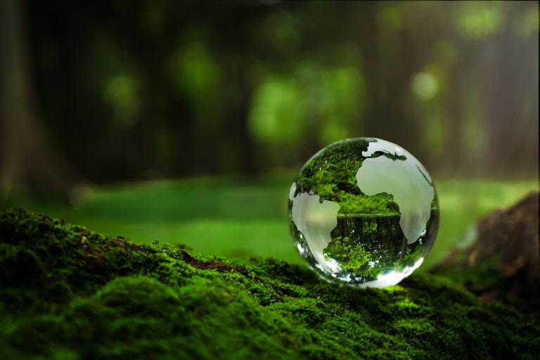 A globe sitting on top of moss in a forest.