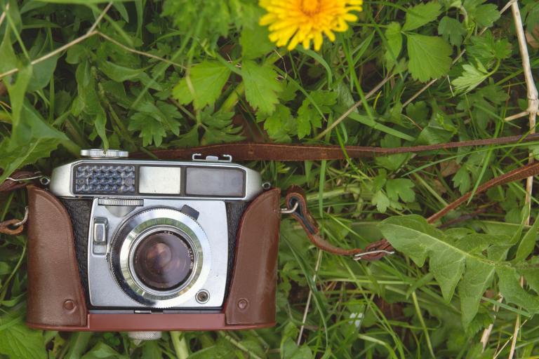 An old camera sitting in the grass.