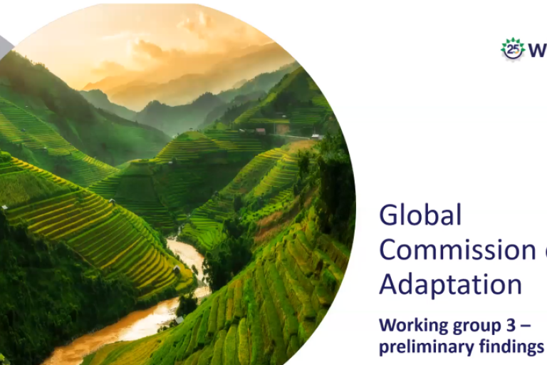 Global commission on adaptation – working group preliminary findings.