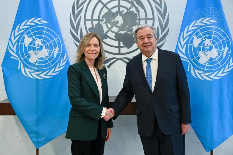 Two people shaking hands in front of un flags.