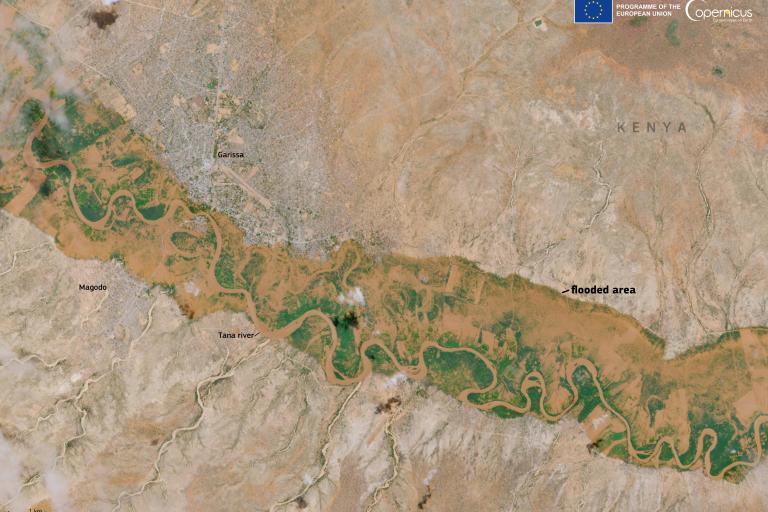 Satellite image showing a flooded area along the tana river in kenya, with distinct green patches indicating vegetation contrasted against arid surroundings.