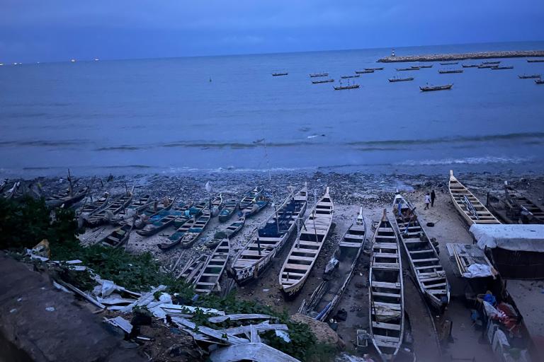 A beach with numerous wooden fishing boats lined up on the shore. Additional boats are seen floating in the water. Some structures and greenery are visible in the foreground.