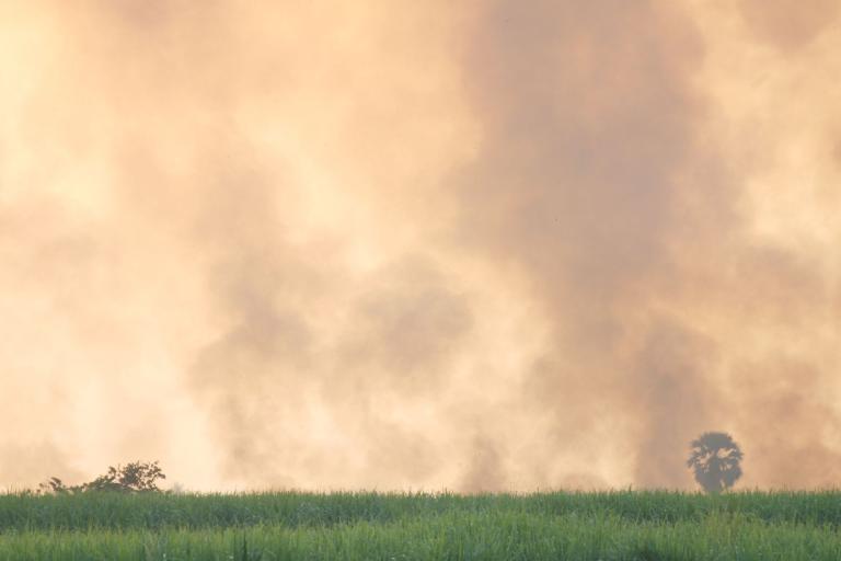 Distant smoke rises above a green grassy field, with a single tree partially visible through the haze in the background.