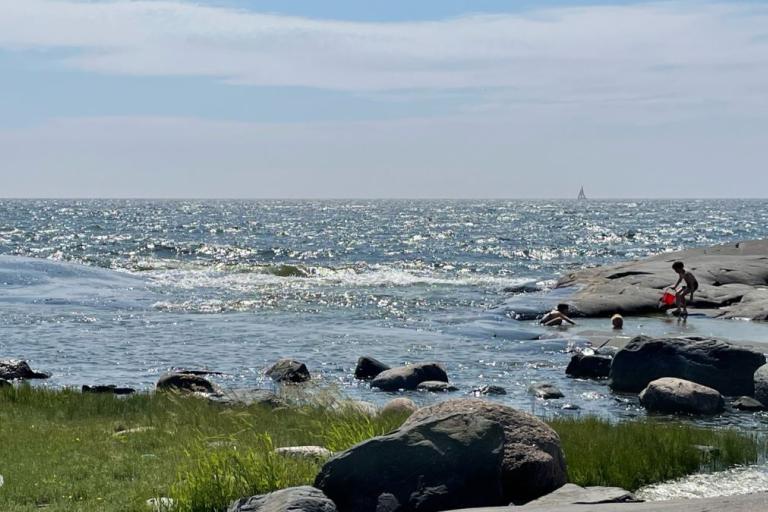 Rocky shoreline with grass in the foreground, waves in the sea, a few people near the water, and a sailboat visible in the distance under a partly cloudy sky.