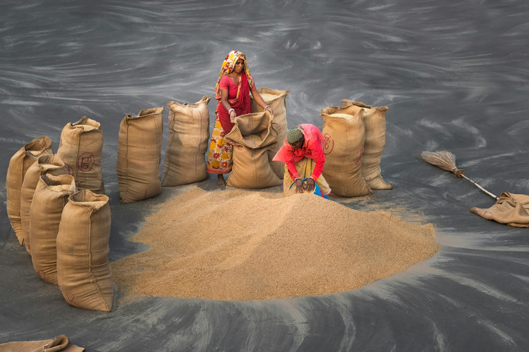 Two women work with a pile of grain, filling large burlap sacks arranged in a circle on a dark, textured ground. A broom and an empty sack lie nearby.