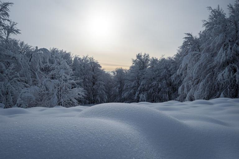 Snow-covered landscape with rounded snowdrifts in the foreground and frost-covered trees under a pale sun in a cloudy sky.