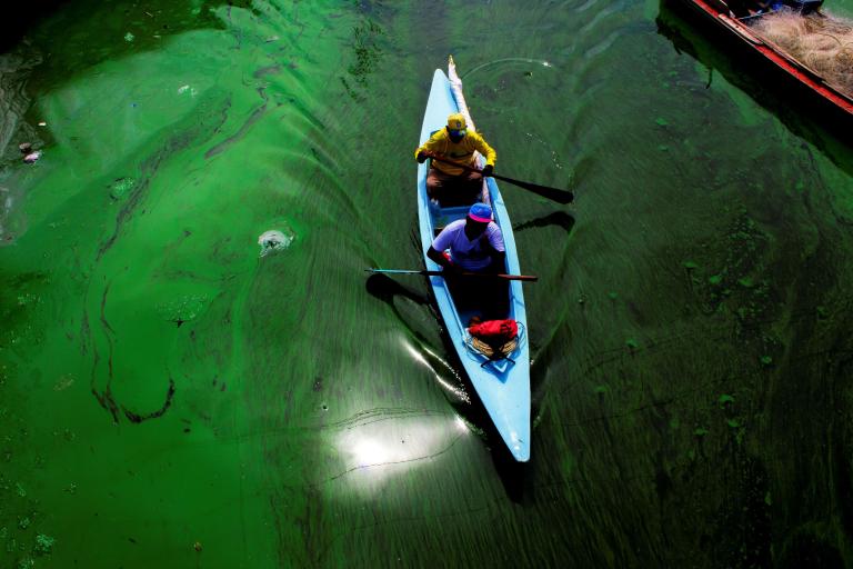 Two people paddle a blue canoe through green, algae-covered water, with bright sunlight reflecting off the surface.