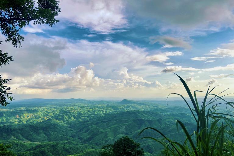 View of green rolling hills under a blue sky with scattered clouds, framed by tall grass and tree branches in the foreground.