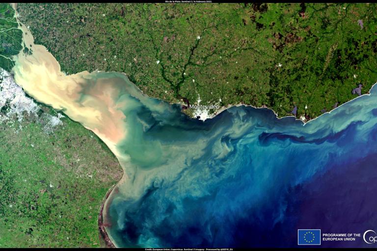 Satellite image shows a river delta emptying into the ocean near Montevideo, Uruguay, with sediment plumes visible in the water and urban and rural areas on land.