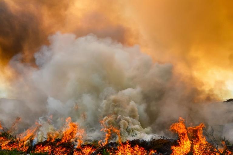 Large wildfire with thick smoke billowing into the air, flames burning through vegetation, and an orange sky in the background.