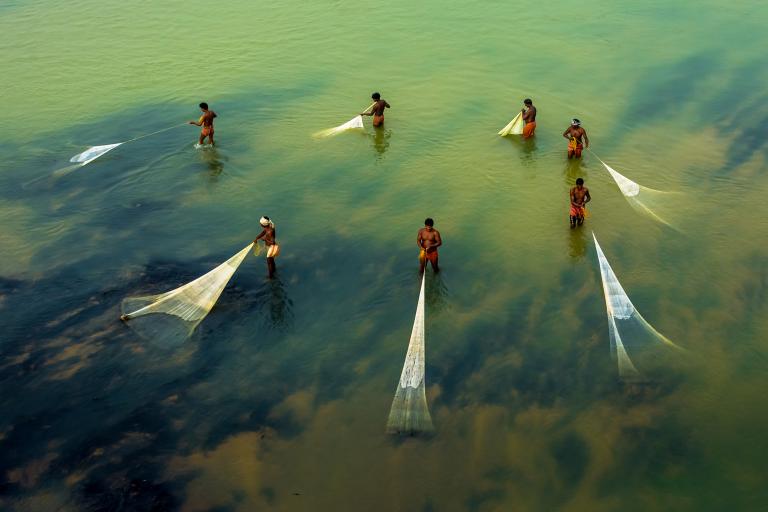 Six people stand in shallow water, each holding a long fishing net submerged in the greenish water, viewed from above.