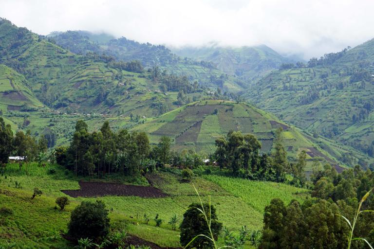 Terraced green hills and mountains under a cloudy sky.