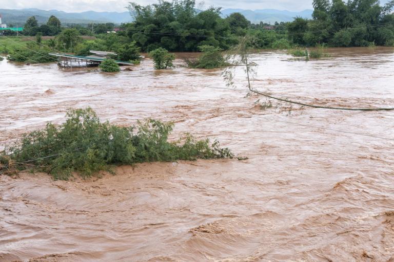 A flooded river with brown, swirling water surrounding trees and a partially submerged structure.