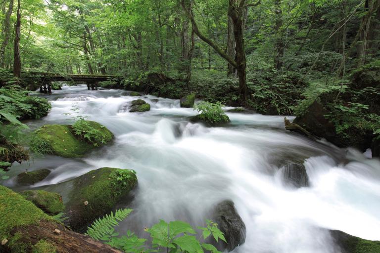 Photographer: Tsz-cheung Lee