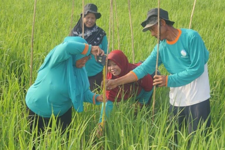 Climate field schools in Indonesia