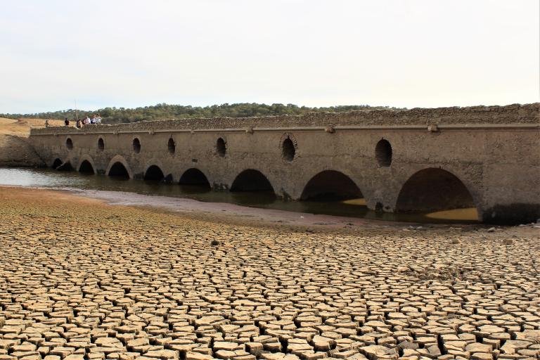 Desertification and drought day
