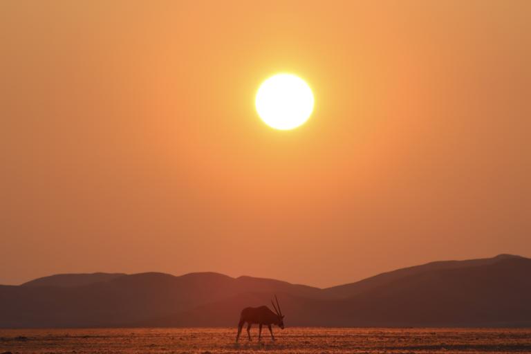 Photo by: Tim	Gray, The Sossusvlei area of Namibia, WMO 2023 calendar competition