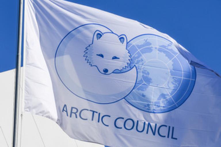 Arctic Council Flag