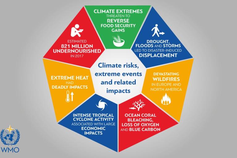 WMO Addresses UN Security Council For First Time