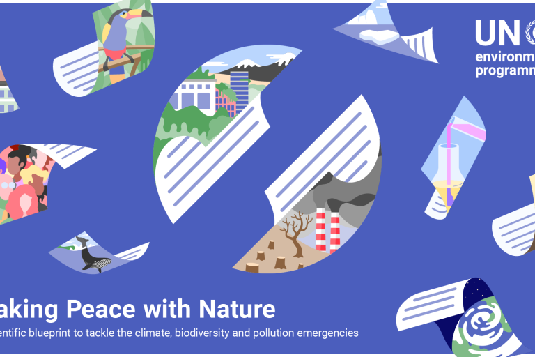 Make peace with nature: UNEP