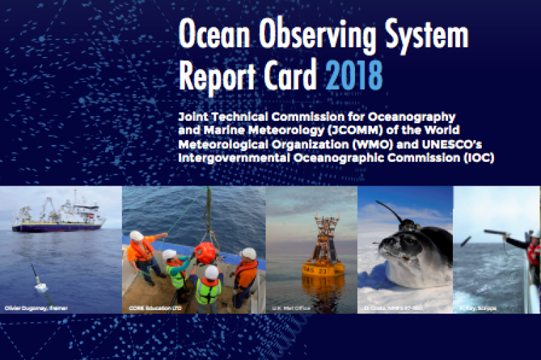 Ocean observing system report card