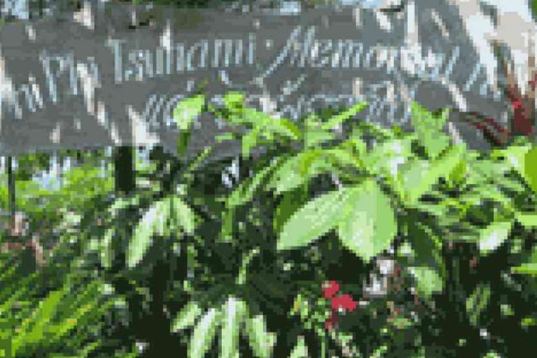 A sign reading "Phi Phi Tsunami Memorial Park" is partially obscured by green plants and foliage.