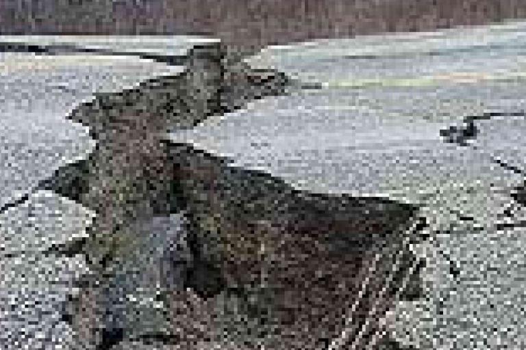 A large crack runs through the middle of a damaged asphalt road, showing signs of severe earthquake or ground movement.