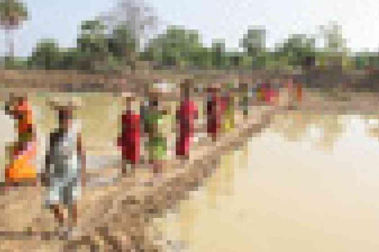 A group of people walk in single file along a narrow path between two water bodies, with trees and vegetation in the background.