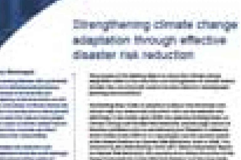 Blurry image of a document titled "Strengthening Climate Change adaptation through effective disaster risk reduction" with sections of text and a blue sidebar on the left.