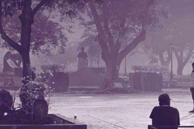 Several people are seen in a park with large trees and statues, while the air appears hazy or foggy.