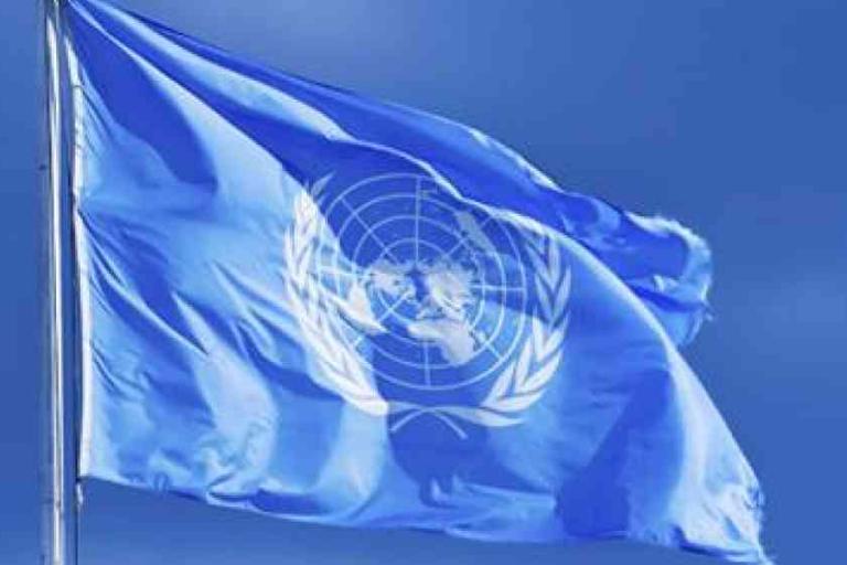 A United Nations flag featuring the UN emblem in white on a light blue background waves against a clear blue sky.