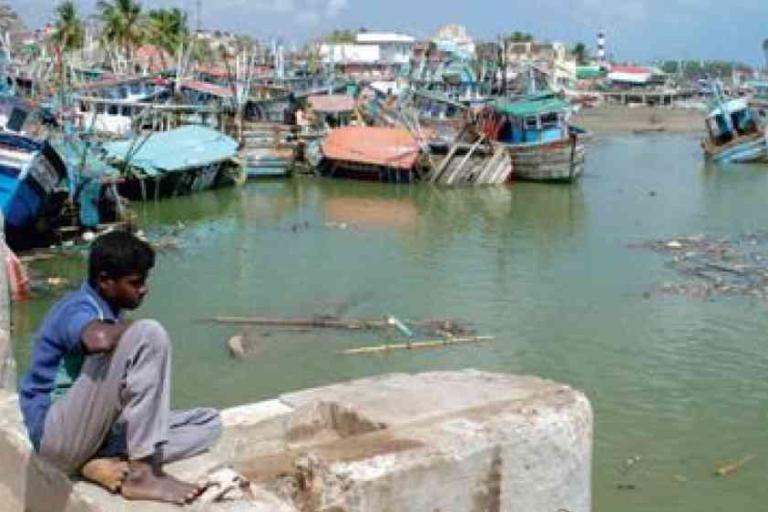 A boy sits on a concrete edge overlooking a harbor filled with damaged boats and debris floating in the water.
