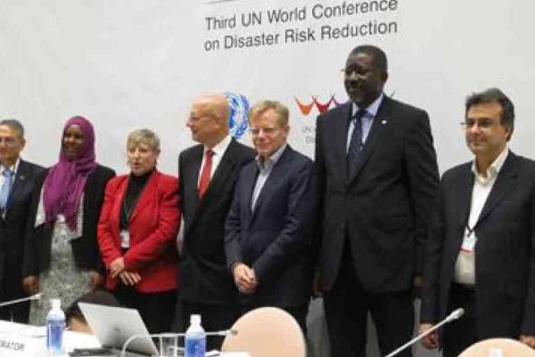 Seven people stand in a row at the Third UN World Conference on Disaster Risk Reduction, with a conference banner visible in the background.