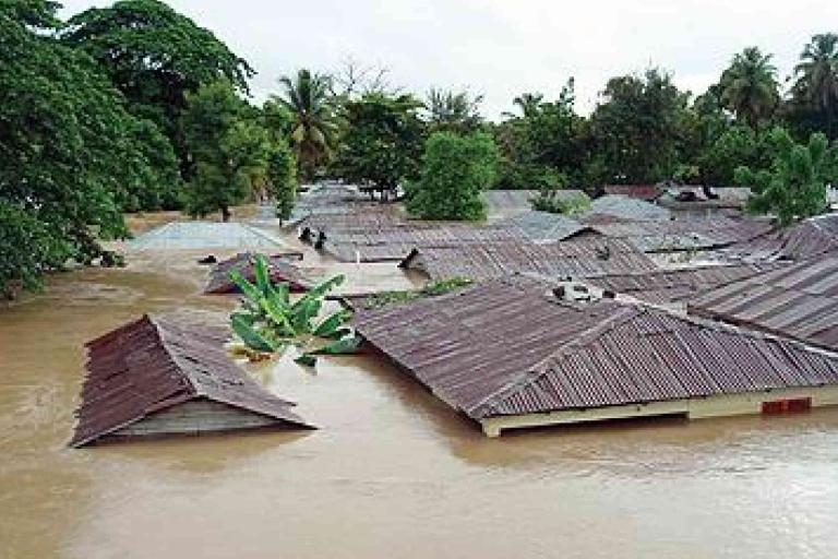 Floodwaters submerge house rooftops and trees, leaving only the upper portions of buildings and foliage visible above the water.